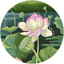 Shuang Liang Shuang Liang